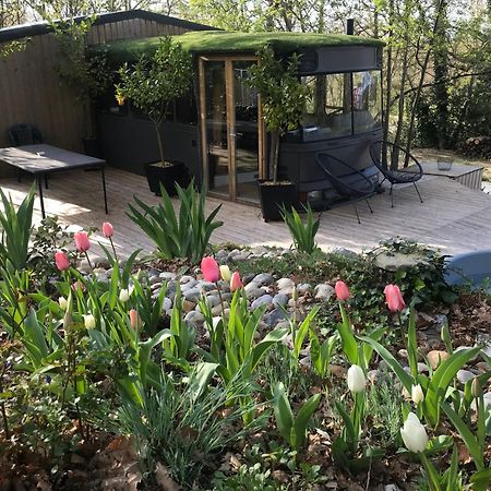 Bus Atypique Au Bord Du Canal Du Midi Et Au Coeur D'Une Foret 2 Chambres Villepinte  Luaran gambar