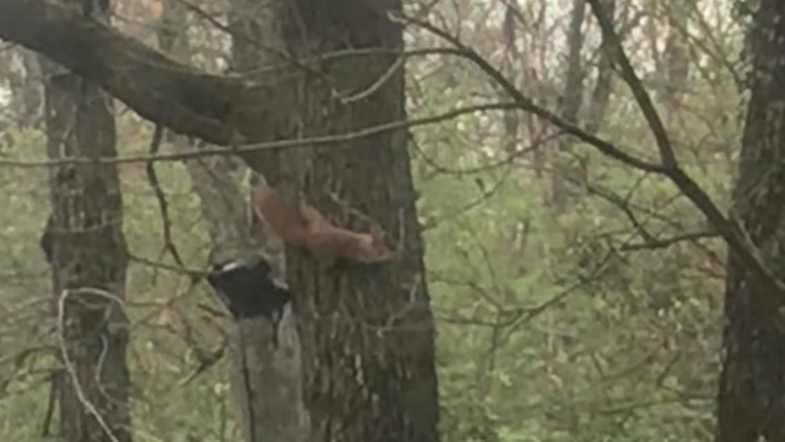 Bus Atypique Au Bord Du Canal Du Midi Et Au Coeur D'Une Foret 2 Chambres Villepinte  Luaran gambar