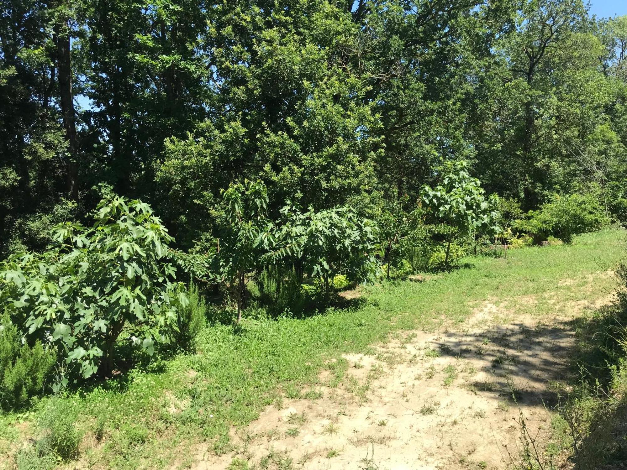 Bus Atypique Au Bord Du Canal Du Midi Et Au Coeur D'Une Foret 2 Chambres Villepinte  Luaran gambar