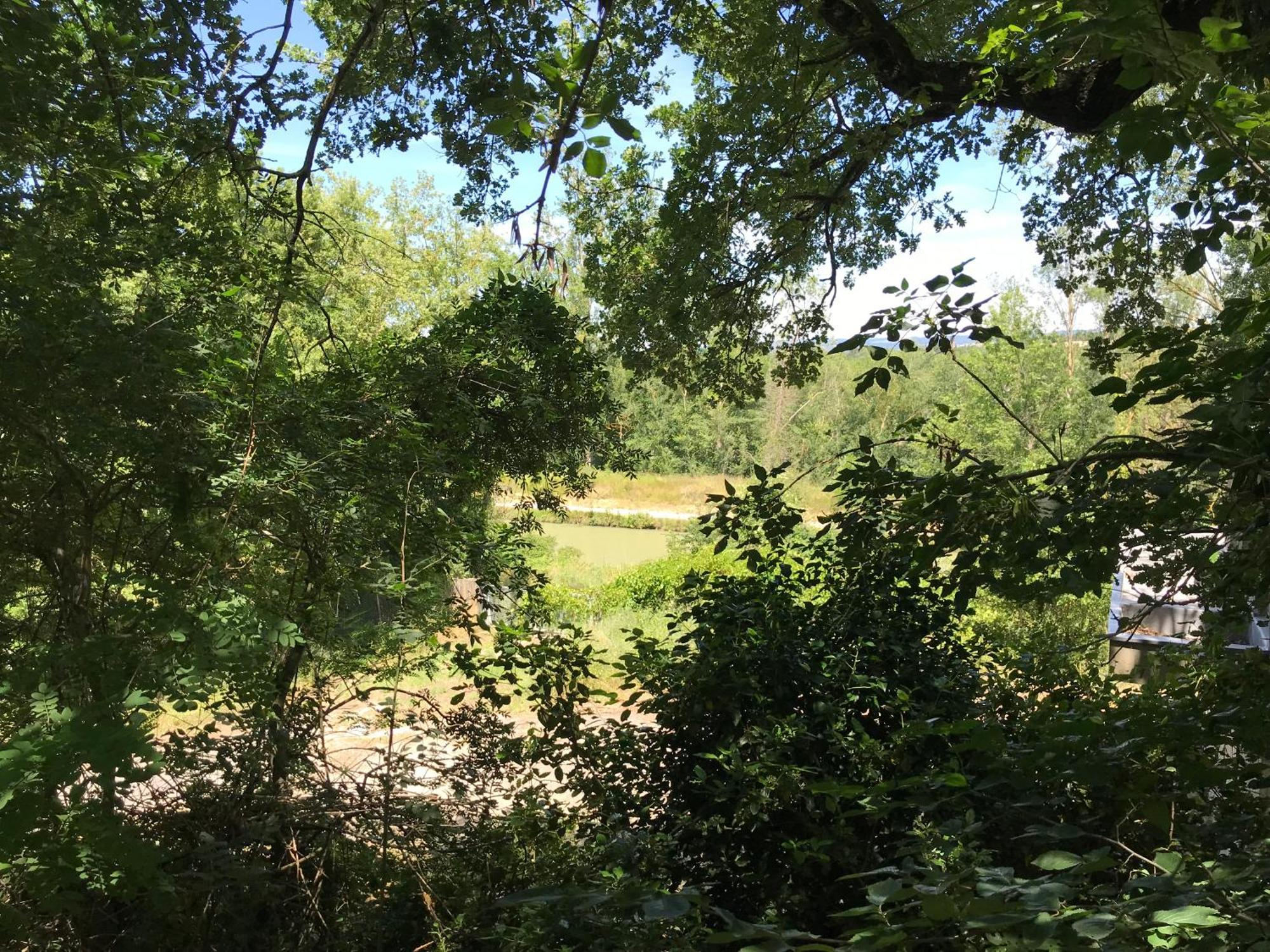 Bus Atypique Au Bord Du Canal Du Midi Et Au Coeur D'Une Foret 2 Chambres Villepinte  Luaran gambar
